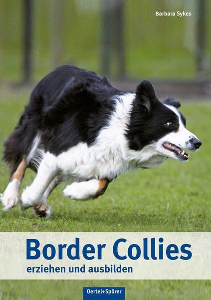 Produktbild: Border Collies erziehen und ausbilden