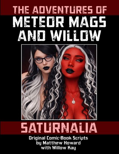Produktbild: The Adventures of Meteor Mags and Willow