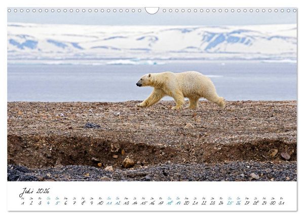 Produktbild: 78&deg; Nord - Arktische Momente in Svalbard (Wandkalender 2026 DIN A3 quer), CALVENDO Monatskalender