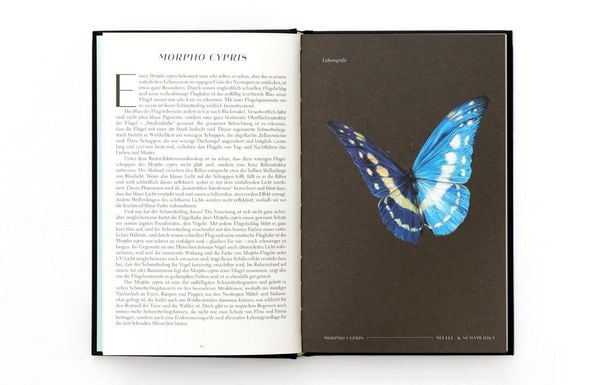Produktbild: Wunderwelt der Insekten