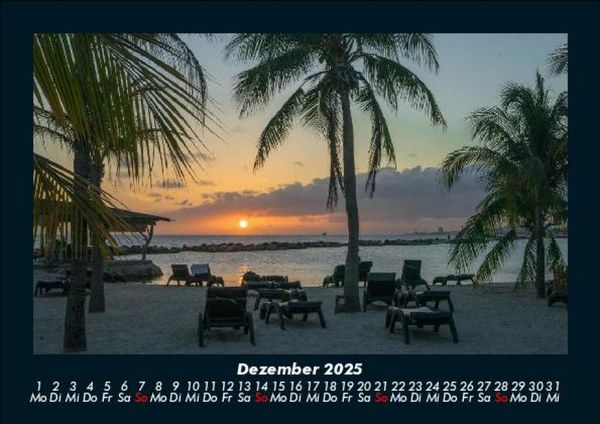 Produktbild: Palmentraum 2025 Fotokalender DIN A5
