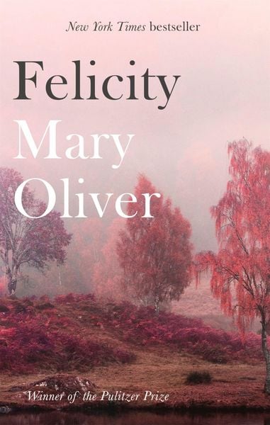 Produktbild: Felicity