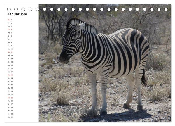 Produktbild: Namibia - Tierische Vielfalt (Planer) (Tischkalender 2026 DIN A5 quer), CALVENDO Monatskalender