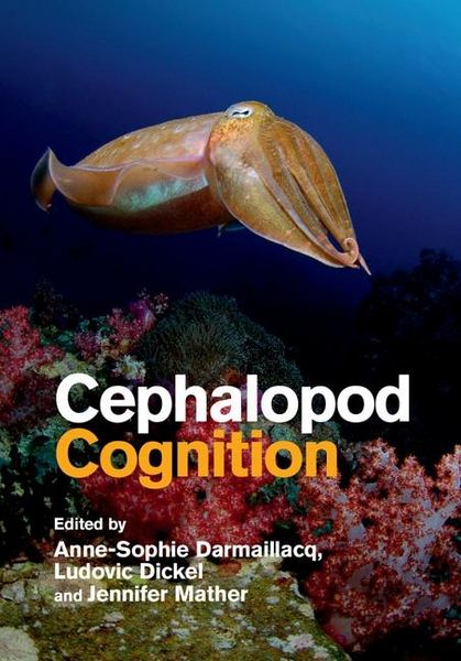 Produktbild: Cephalopod Cognition