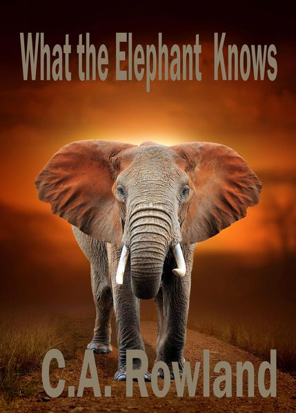 Produktbild: What the Elephant Knows