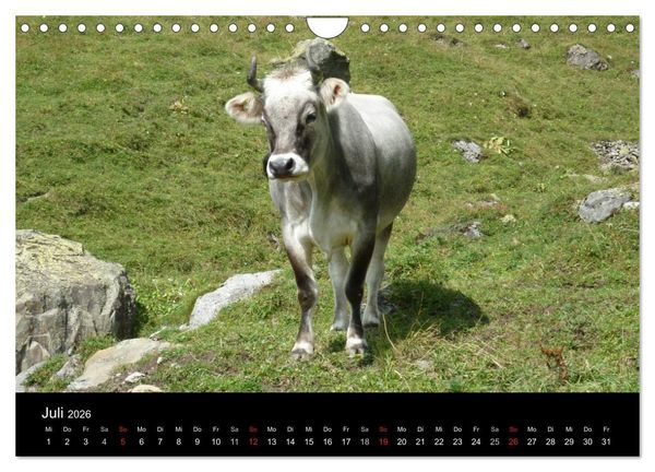 Produktbild: Die Welt der Berge (Wandkalender 2026 DIN A4 quer), CALVENDO Monatskalender