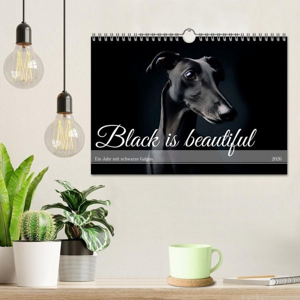 Produktbild: Black is beautiful (Wandkalender 2026 DIN A4 quer), CALVENDO Monatskalender