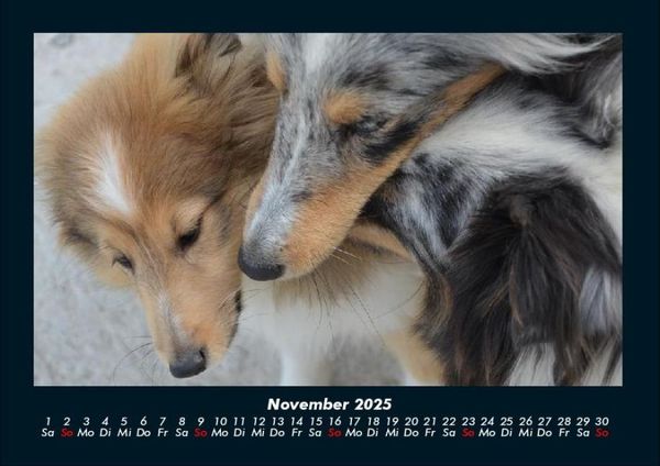 Produktbild: Hundezauber 2025 Fotokalender DIN A4