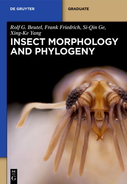 Produktbild: Insect Morphology and Phylogeny