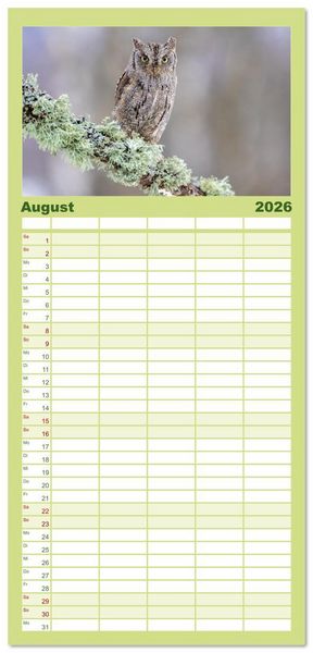 Produktbild: Familienplaner 2026 - Eulen - Fl&uuml;gel der Nacht mit 5 Spalten (Wandkalender, 21 x 45 cm) CALVENDO