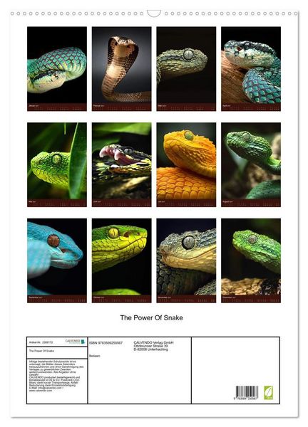 Produktbild: The Power Of Snake (Wandkalender 2027 DIN A2 hoch), CALVENDO Monatskalender
