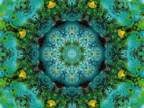 Produktbild: CALVENDO Puzzle Mitgef&uuml;hl Chakra des Herzens | 1000 Teile Lege-Gr&ouml;&szlig;e 64x48cm Foto-Puzzle f&uuml;r gl&uuml;ckliche Stunden