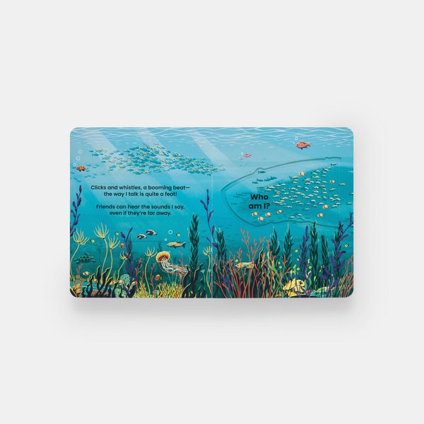 Produktbild: Who's Hiding Under the Sea?