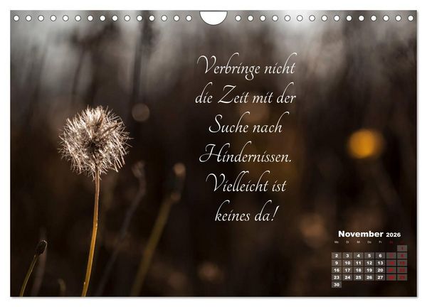 Produktbild: Chinesische Weisheiten (Wandkalender 2026 DIN A4 quer), CALVENDO Monatskalender