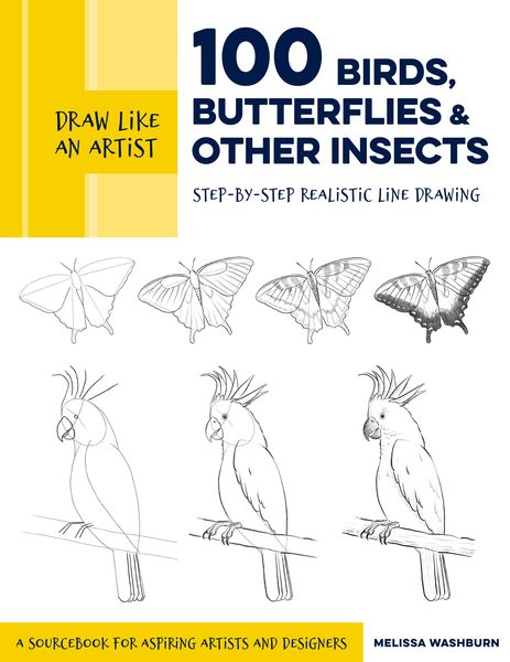 Produktbild: Draw Like an Artist: 100 Birds, Butterflies, and Other Insects