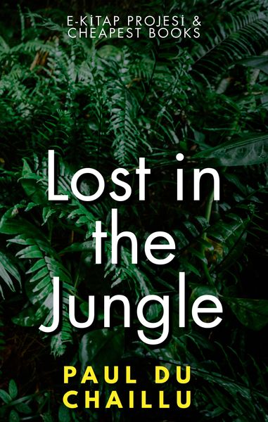 Produktbild: Lost in the Jungle