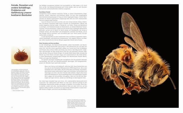 Produktbild: Die Verf&uuml;hrung der Biene