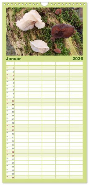 Produktbild: Familienplaner 2026 - Pilze - tolle Funde mit 5 Spalten (Wandkalender, 21 x 45 cm) CALVENDO