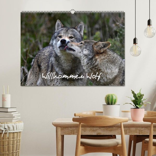Produktbild: Willkommen Wolf (Wandkalender 2026 DIN A2 quer), CALVENDO Monatskalender