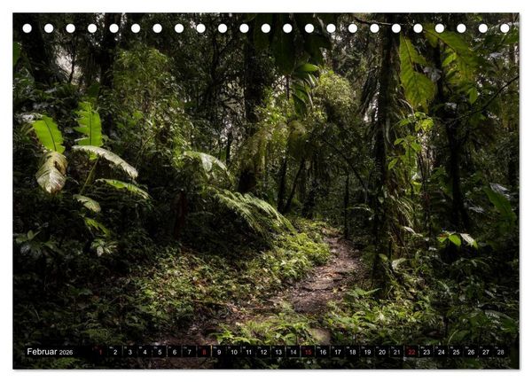 Produktbild: COSTA RICA Farben und Licht (Tischkalender 2026 DIN A5 quer), CALVENDO Monatskalender