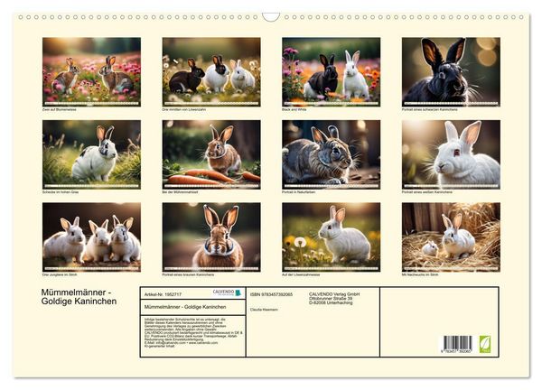 Produktbild: M&uuml;mmelm&auml;nner - Goldige Kaninchen (Wandkalender 2026 DIN A2 quer), CALVENDO Monatskalender