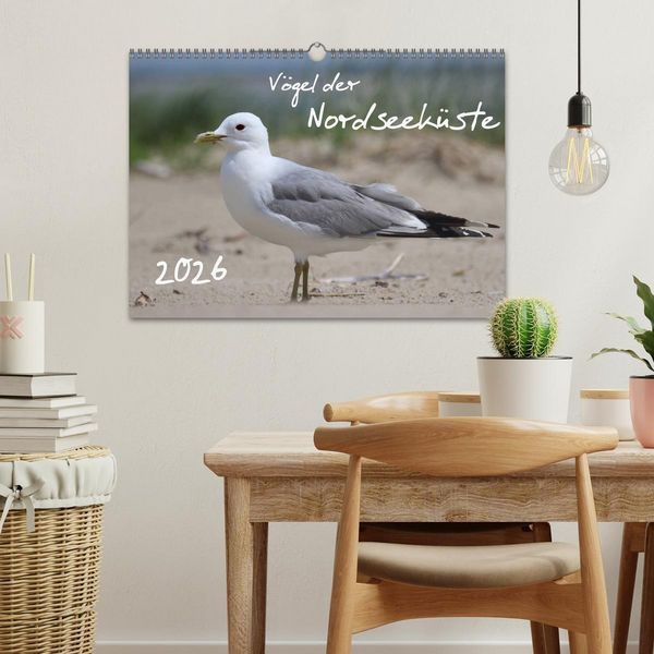 Produktbild: V&ouml;gel der Nordseek&uuml;ste (Wandkalender 2026 DIN A3 quer), CALVENDO Monatskalender