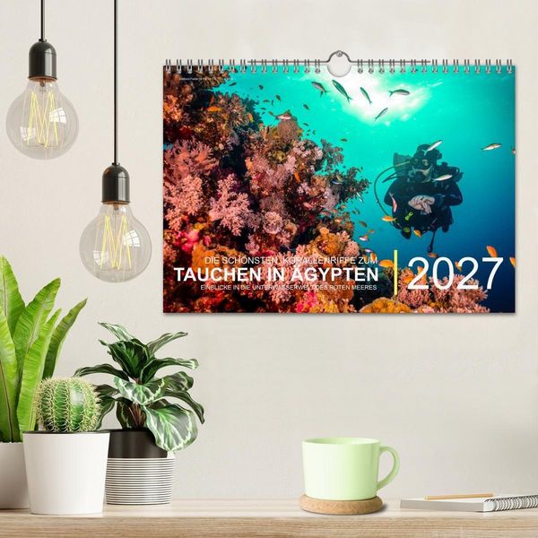 Produktbild: Die sch&ouml;nsten Korallenriffe zum Tauchen in &Auml;gypten (Wandkalender 2027 DIN A4 quer), CALVENDO Monatskalender