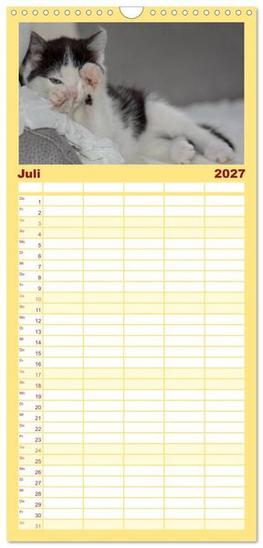 Produktbild: Familienplaner 2027 - Die Launen der Katzen 2027 mit 5 Spalten (Wandkalender, 21 x 45 cm) CALVENDO