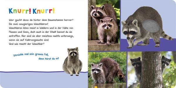 Produktbild: H&ouml;r mal rein, wer kann das sein? &ndash; Kuschelige Tiere