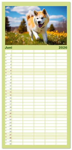 Produktbild: Familienplaner 2026 - Akita Inu in der Natur. Japans edle und sanfte Sch&ouml;nheit mit 5 Spalten (Wandkalender, 21 x 45 cm) CALVENDO