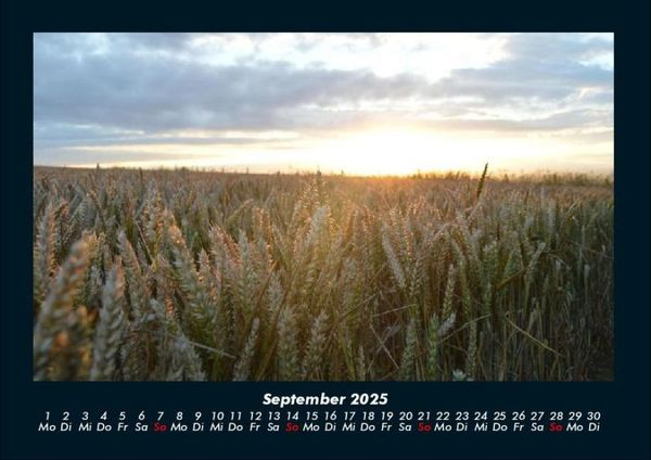 Produktbild: Blick in die Natur 2025 Fotokalender DIN A4