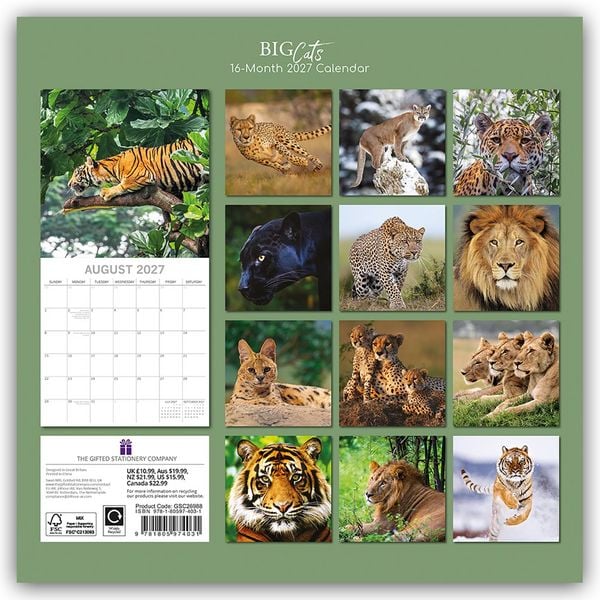 Produktbild: Big Cats &ndash; Raubkatzen &ndash; L&ouml;wen Tiger Geparden Leoparden 2027 &ndash; 16-Monatskalender