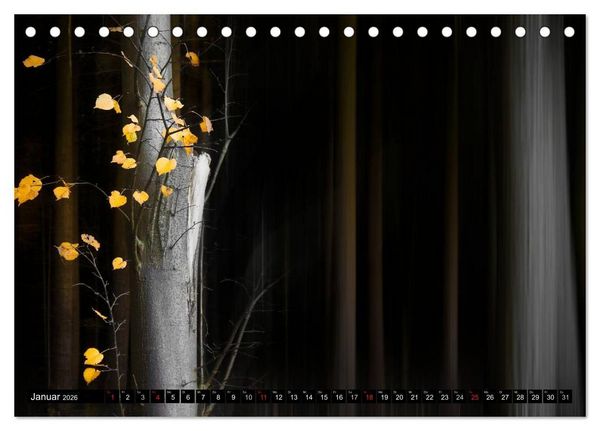 Produktbild: Zauberhafter Sachsenwald (Tischkalender 2026 DIN A5 quer), CALVENDO Monatskalender