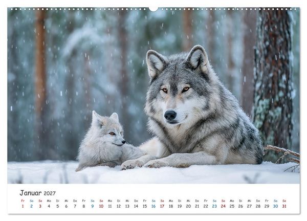 Produktbild: Wenn Tiere Freunde werden (hochwertiger Premium Wandkalender 2027 DIN A2 quer), Kunstdruck in Hochglanz
