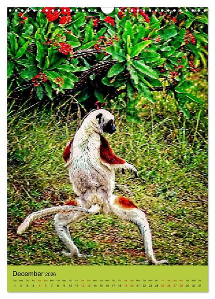 Produktbild: Adorable lemurs (Wall Calendar 2026 DIN A3 portrait), CALVENDO 12 Month Wall Calendar
