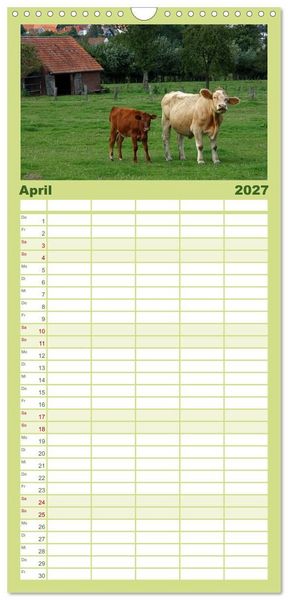 Produktbild: Familienplaner 2027 - Muuuhhh! mit 5 Spalten (Wandkalender, 21 x 45 cm) CALVENDO