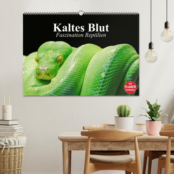 Produktbild: Kaltes Blut. Faszination Reptilien (Wandkalender 2026 DIN A2 quer), CALVENDO Monatskalender