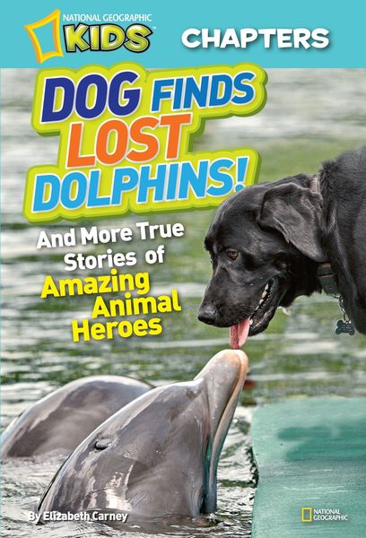 Produktbild: Dog Finds Lost Dolphins