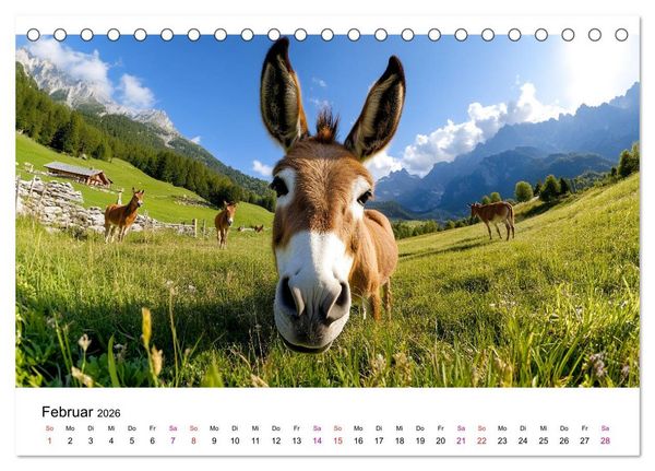 Produktbild: Esel - neugierige Typen (Tischkalender 2026 DIN A5 quer), CALVENDO Monatskalender