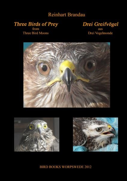 Produktbild: Three Birds of Prey - Drei Greifv&ouml;gel