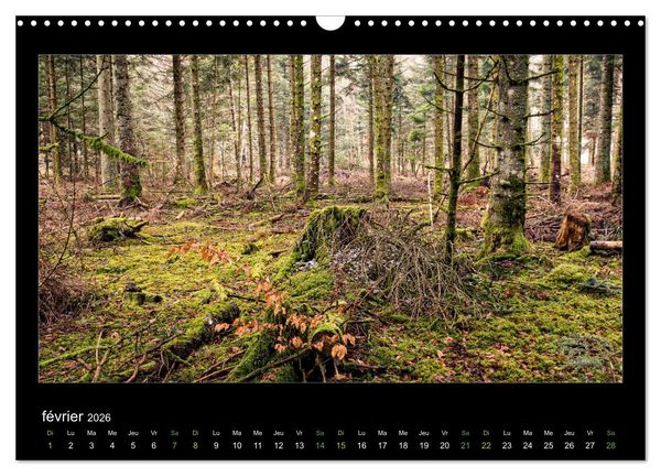 Produktbild: L'Auvergne est belle (Calendrier mural 2026 DIN A3 vertical), CALVENDO calendrier mensuel