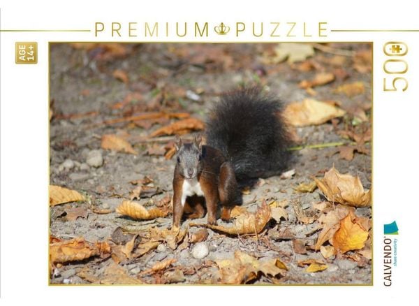 CALVENDO Puzzle Braunes Eichhörnchen Baby im Herbst | 500 Teile Lege-Größe 48 × 36 cm Foto-Puzzle für Erwachsene