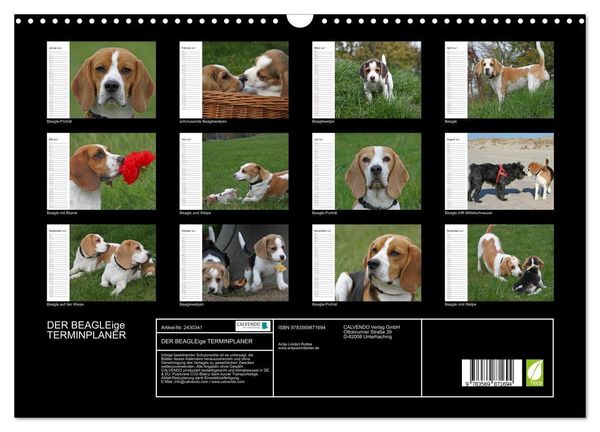 Produktbild: DER BEAGLEige TERMINPLANER (Wandkalender 2027 DIN A3 quer), CALVENDO Monatskalender