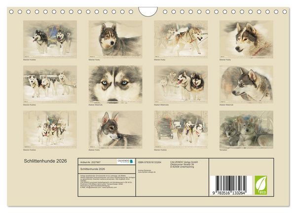 Produktbild: Schlittenhunde 2026 (Wandkalender 2026 DIN A4 quer), CALVENDO Monatskalender