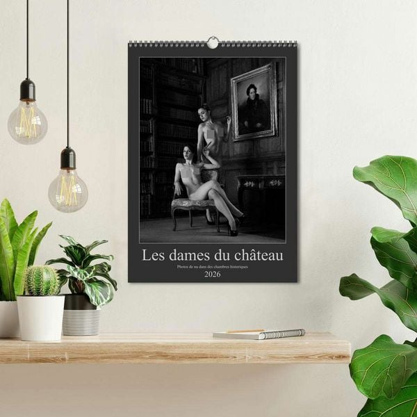 Produktbild: Les dames du ch&acirc;teau (Calendrier mural 2026 DIN A3 horizontal), CALVENDO calendrier mensuel