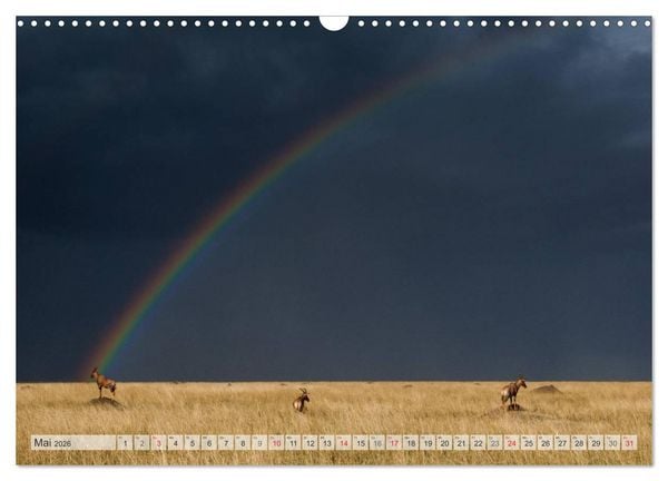 Produktbild: Emotionale Momente: Afrika Wildlife Part 2 / CH-Version (Wandkalender 2026 DIN A3 quer), CALVENDO Monatskalender