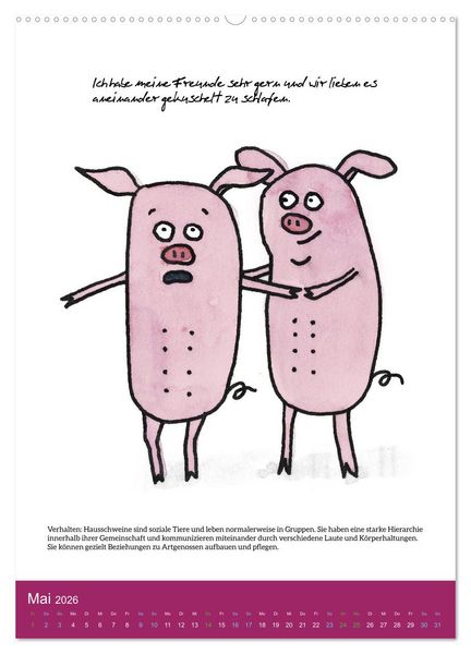 Produktbild: Schweinekalender - Alles was du &uuml;ber Schweine wissen wolltest! (Wandkalender 2026 DIN A2 hoch), CALVENDO Monatskalender