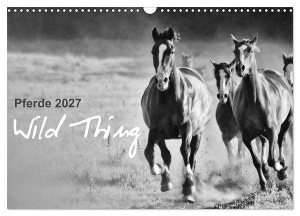 Produktbild: Pferde 2027 Wild Thing (Wandkalender 2027 DIN A3 quer), CALVENDO Monatskalender