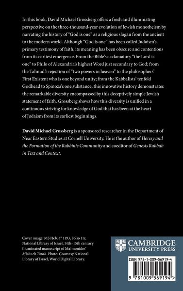 Produktbild: The Evolution of Jewish Monotheism