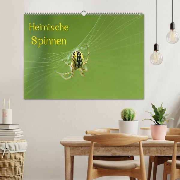 Produktbild: Heimische Spinnen (Wandkalender 2026 DIN A2 quer), CALVENDO Monatskalender